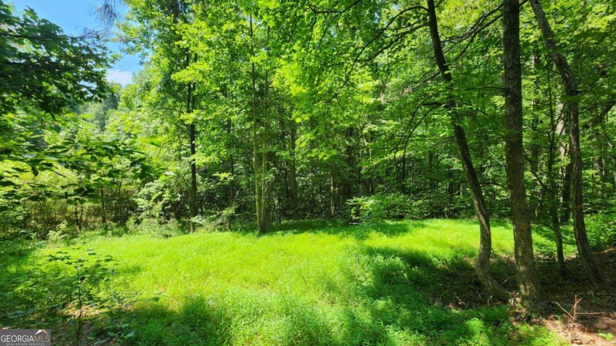 134 Cicero Trail Dawsonville - 2