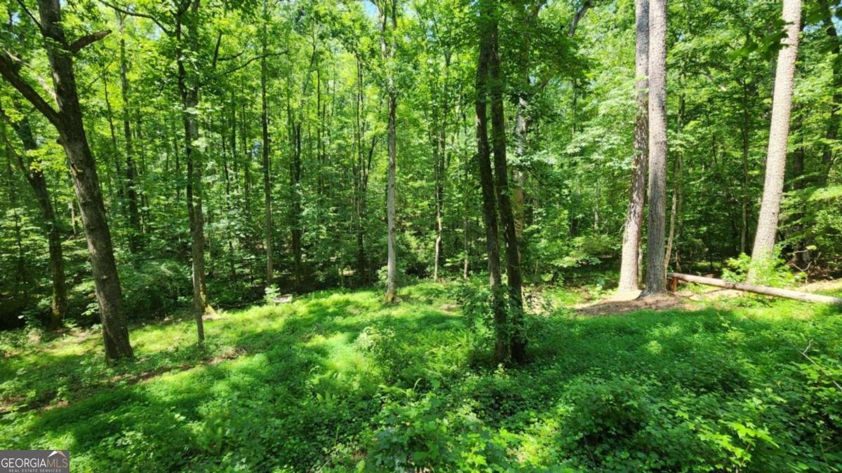 134 Cicero Trail Dawsonville - 6