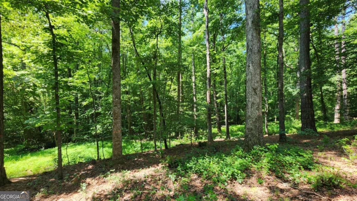 134 Cicero Trail Dawsonville - 9