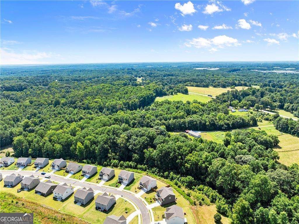 1176 Sunny Valley Lane Braselton - 37