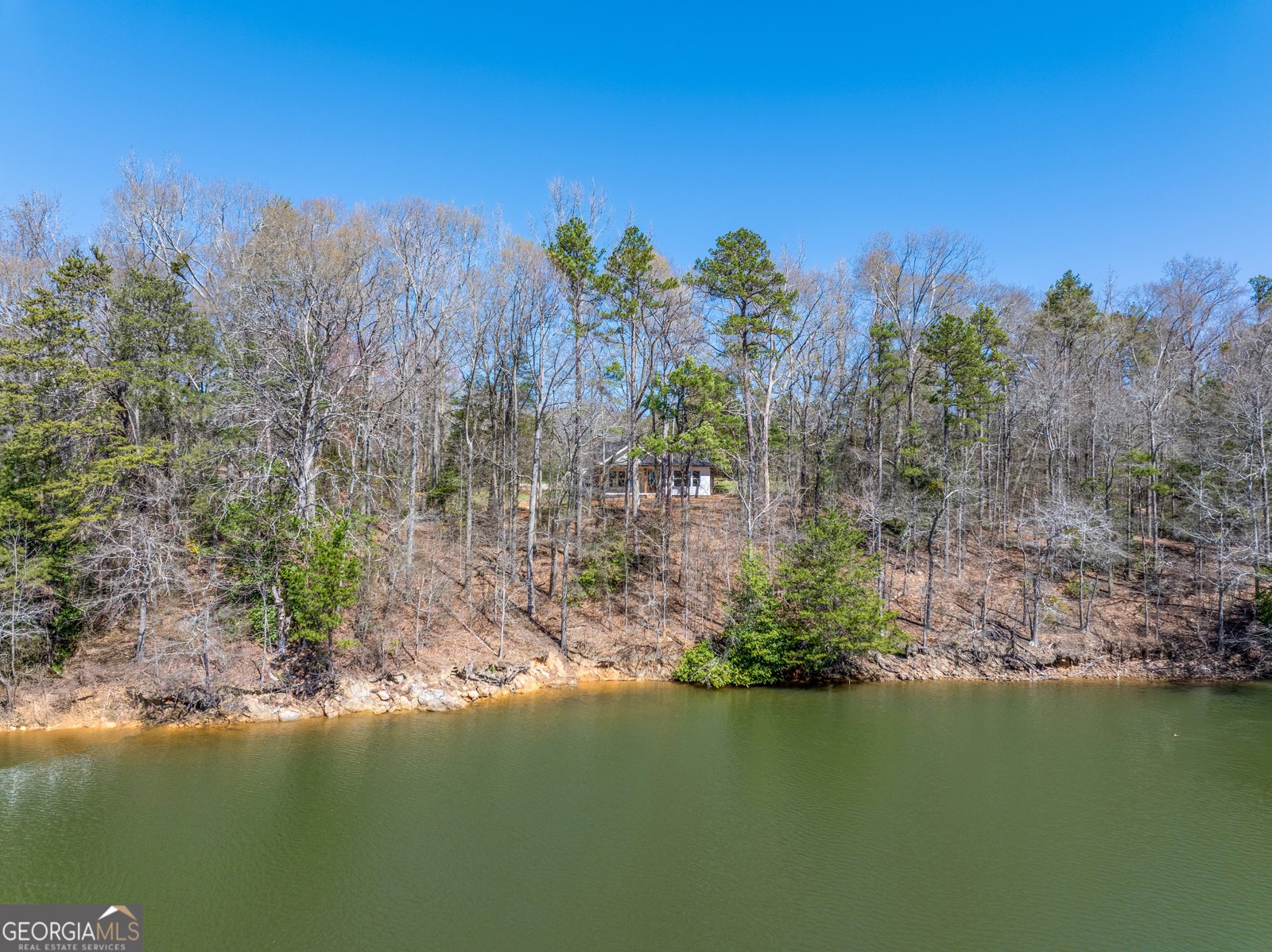 182 Cherry Rose Lane Hartwell - 23