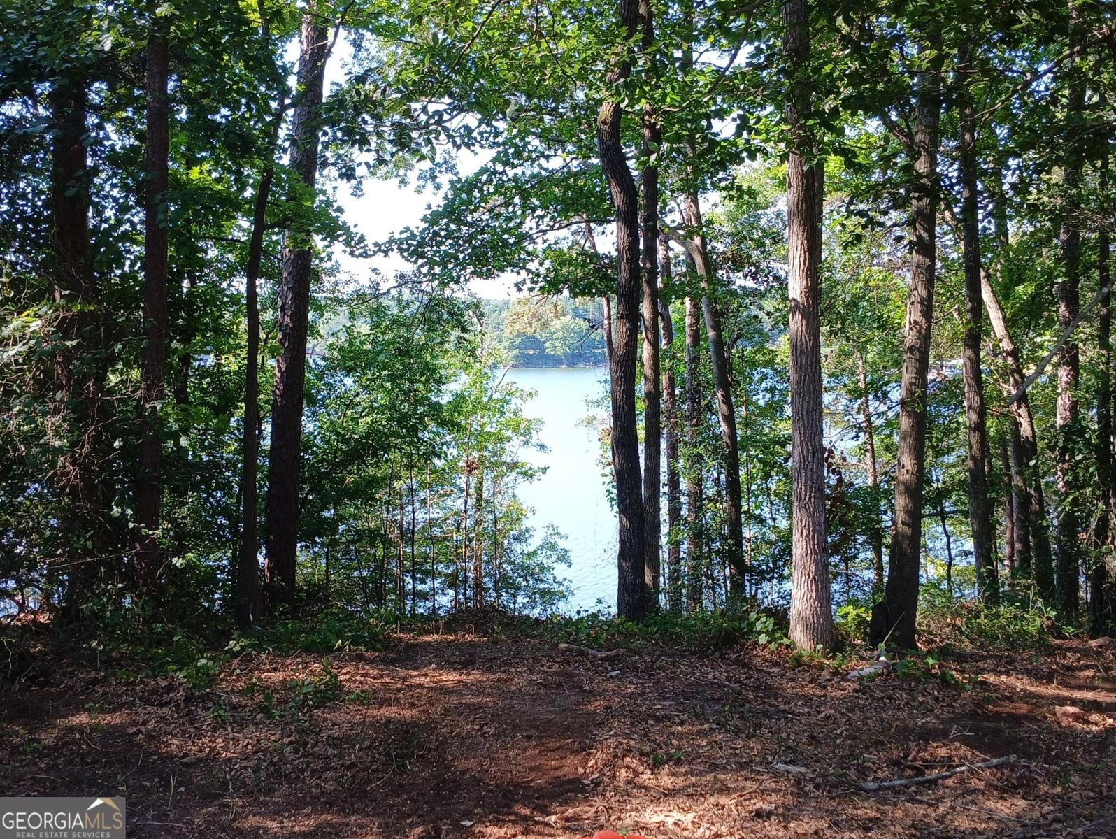 182 Cherry Rose Lane Hartwell - 36