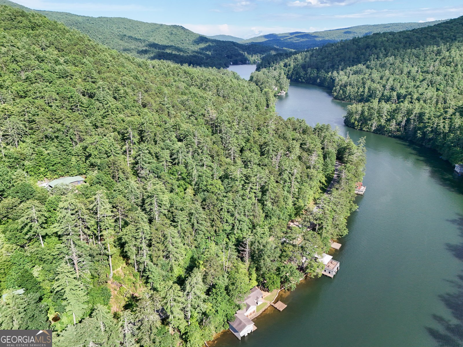 1799 Seed Lake Road Lakemont - 11