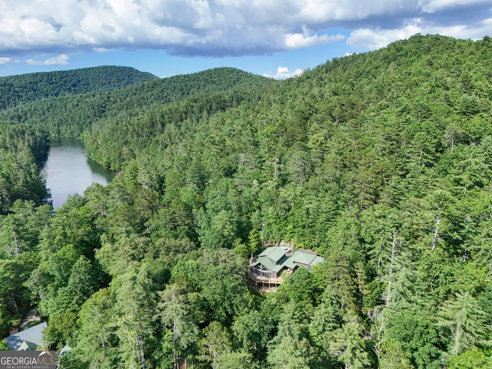 1799 Seed Lake Road Lakemont - 12