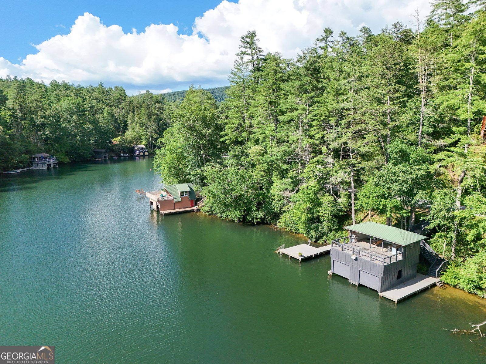 1799 Seed Lake Road Lakemont - 3