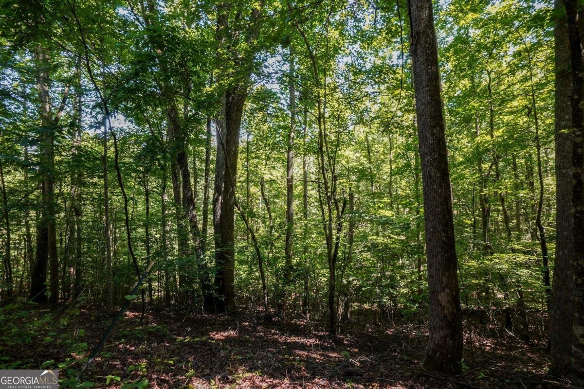 1411 Bradley Road Blairsville - 17