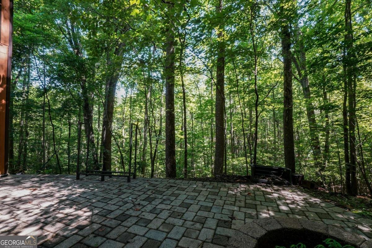 1411 Bradley Road Blairsville - 31