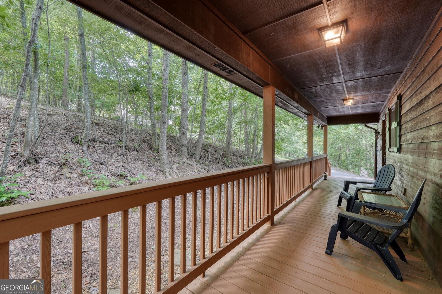 1411 Bradley Road Blairsville - 37