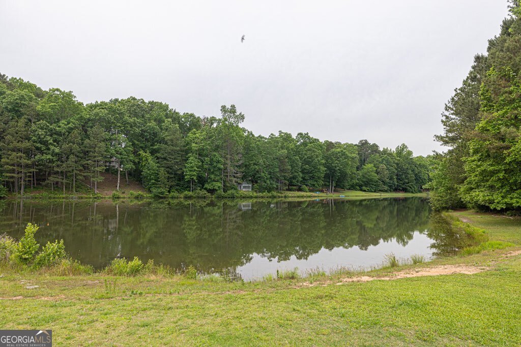 2101 Emerald Drive Loganville - 50