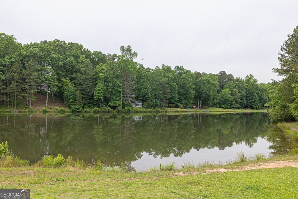 2101 Emerald Drive Loganville - 54