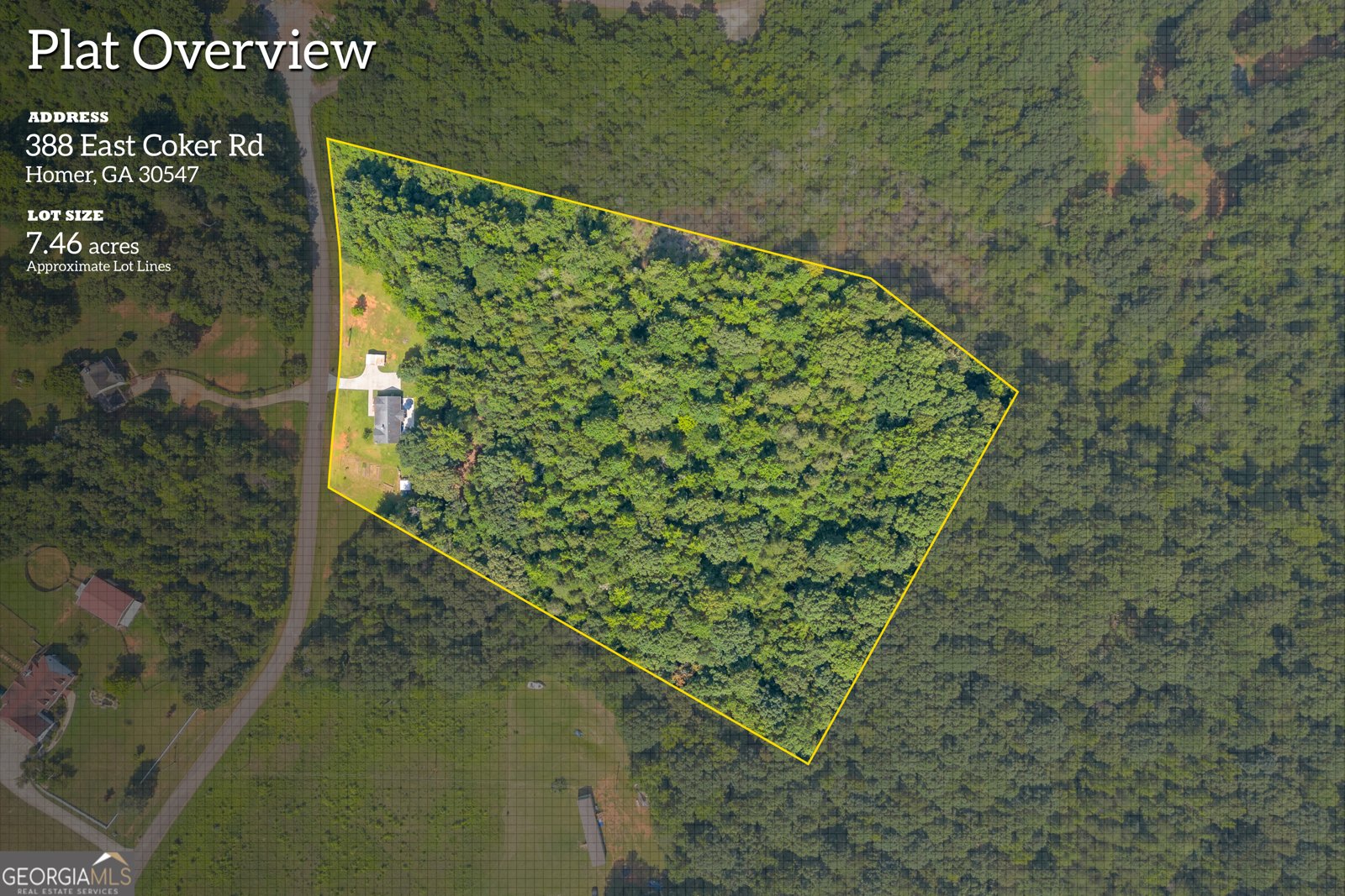 388 Coker Road Homer - 2