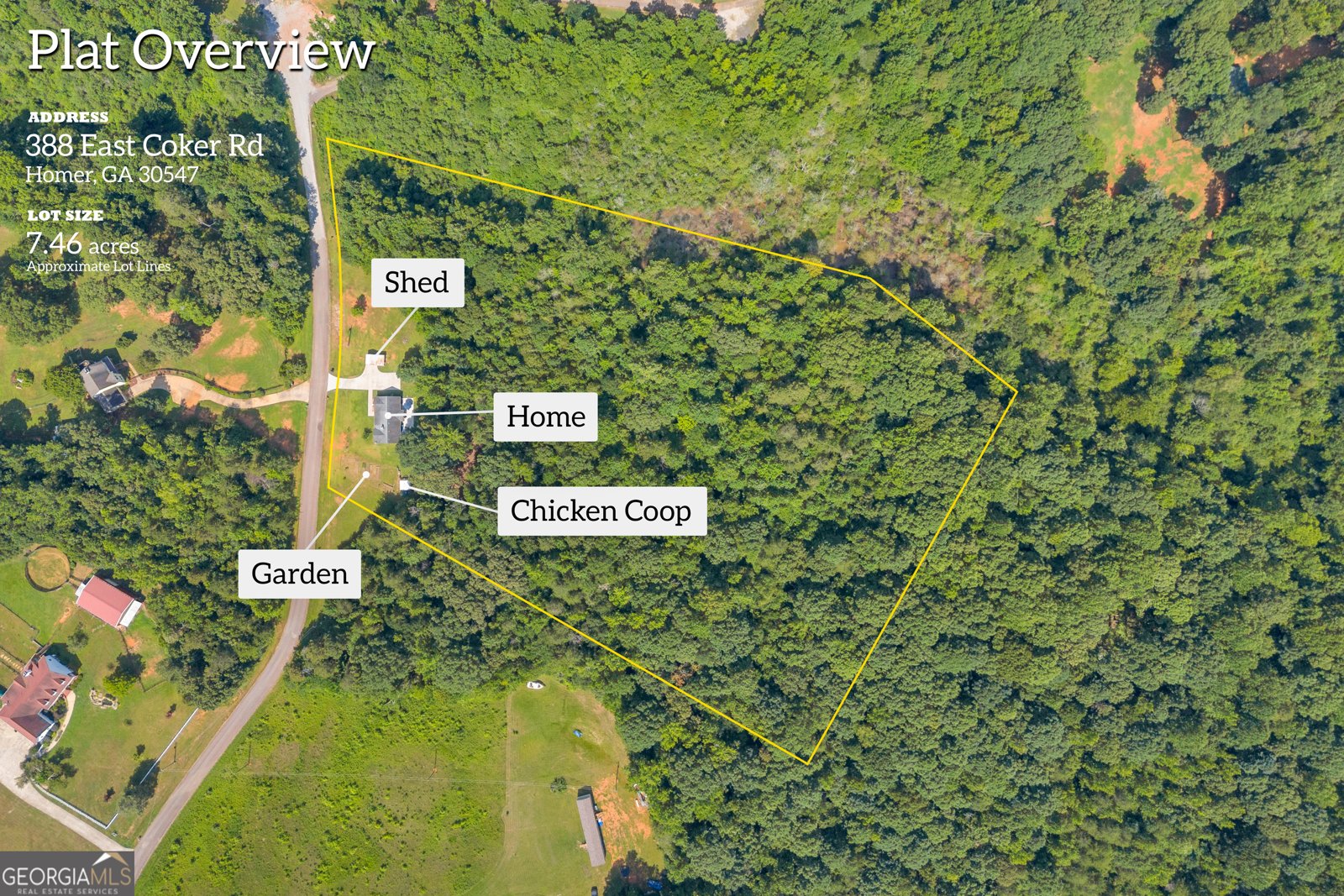 388 Coker Road Homer - 3