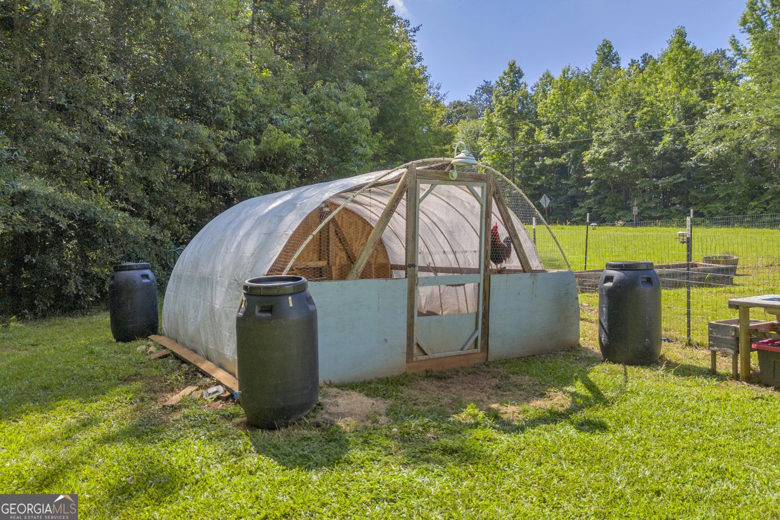 388 Coker Road Homer - 36