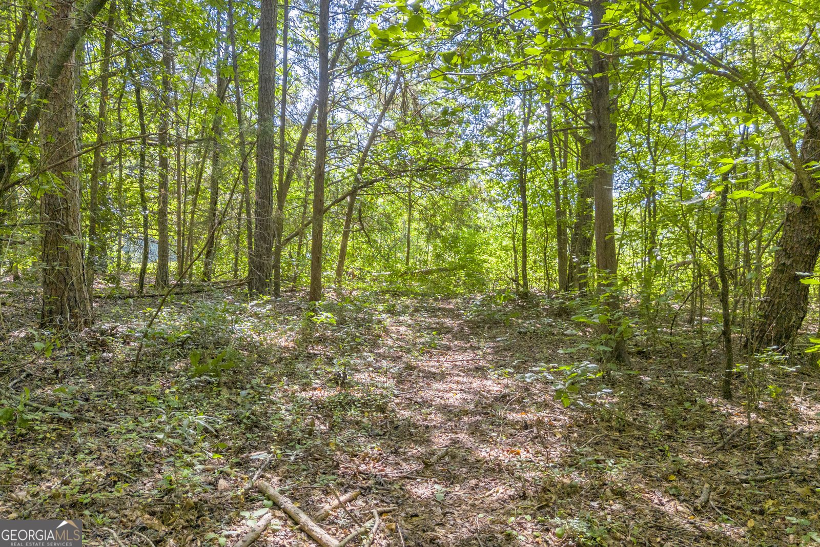 388 Coker Road Homer - 40