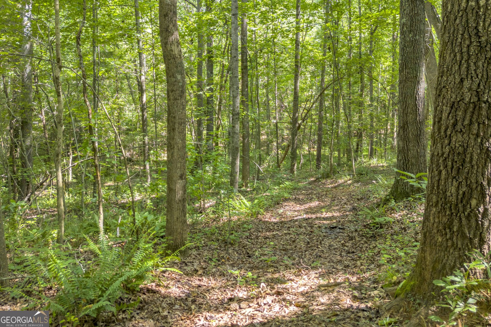 388 Coker Road Homer - 41