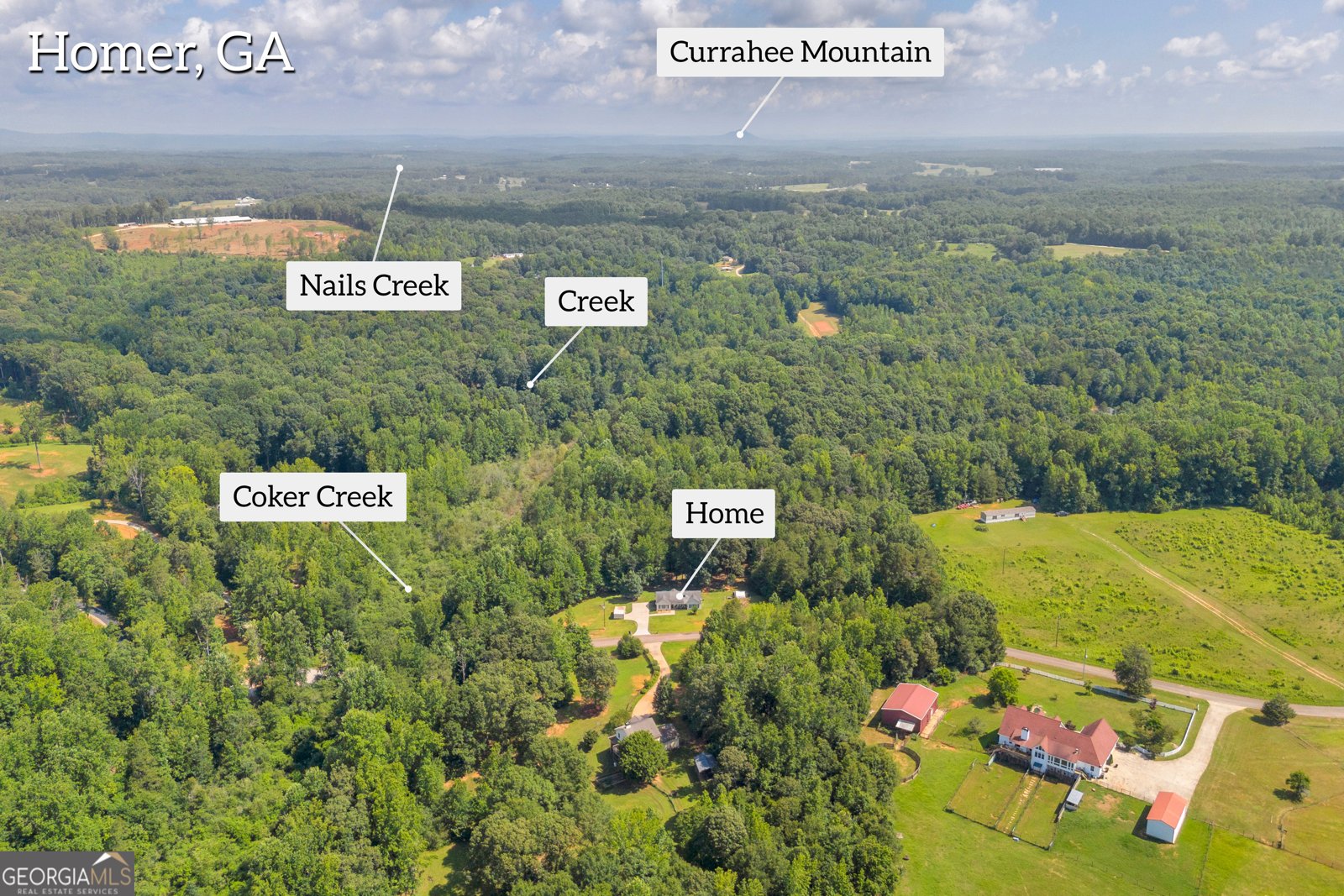 388 Coker Road Homer - 47