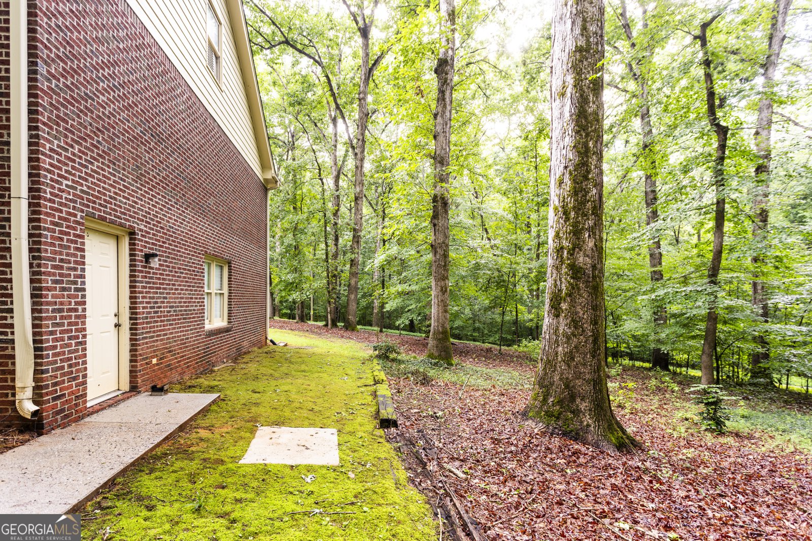 45 Mountain Creek Trail Social Circle - 50