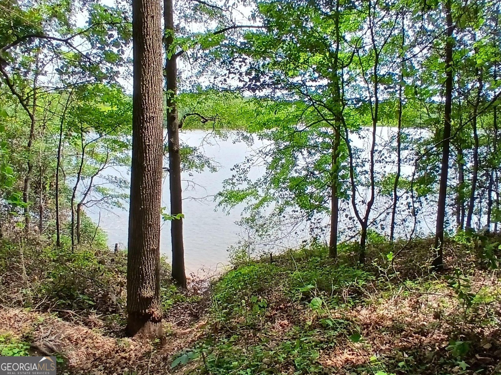 547 Old Beacon Light Road Hartwell - 10