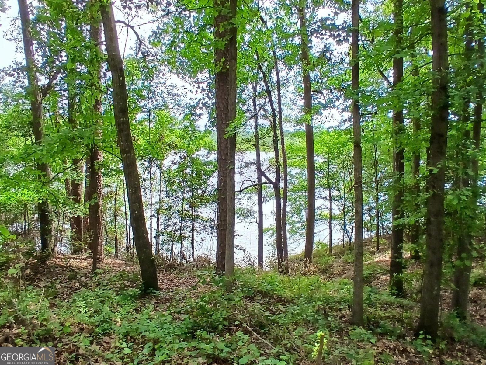 547 Old Beacon Light Road Hartwell - 12