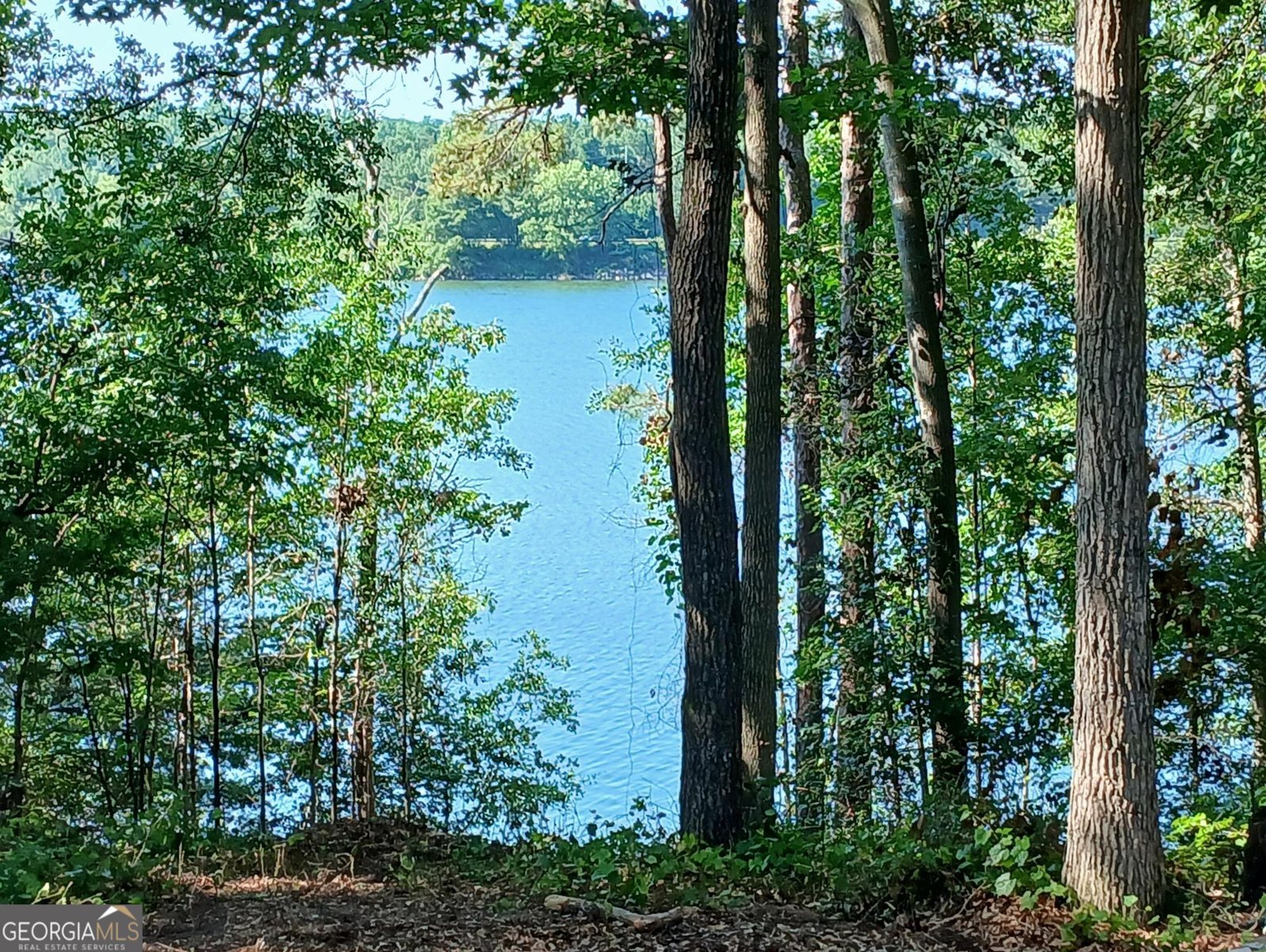 547 Old Beacon Light Road Hartwell - 23