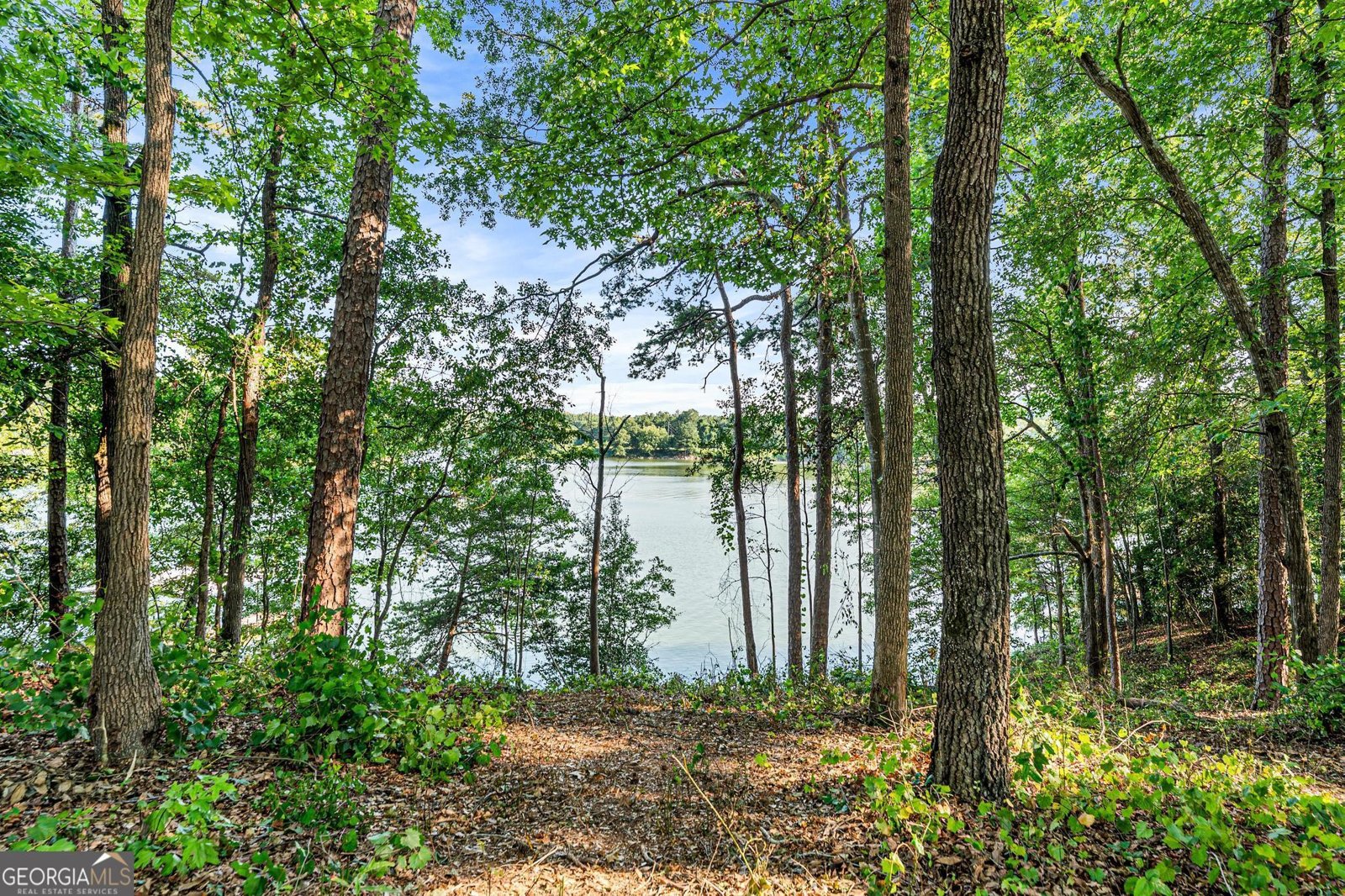 547 Old Beacon Light Road Hartwell - 70