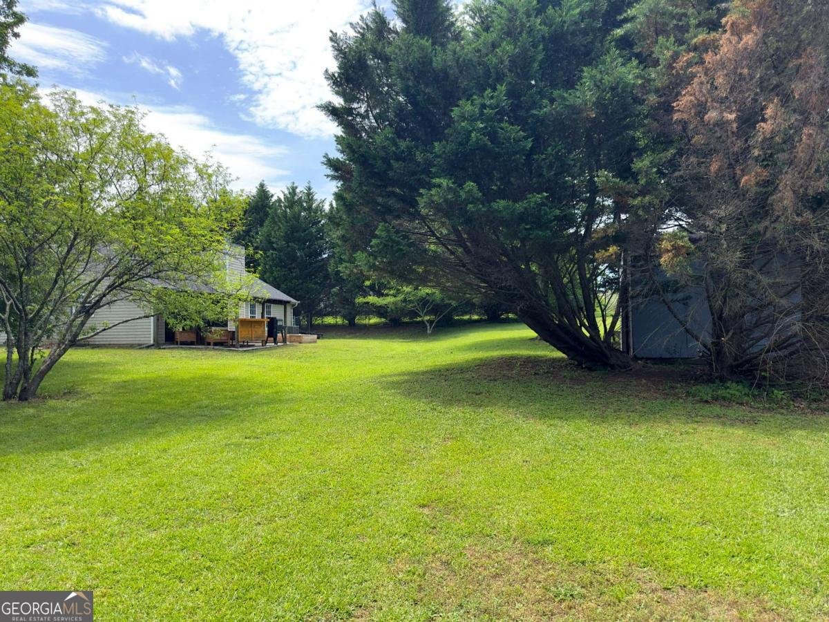 105 Carols Lane Locust Grove - 12