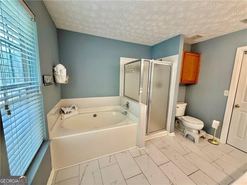 5346 Pinnacle Peak Lane Norcross - 12