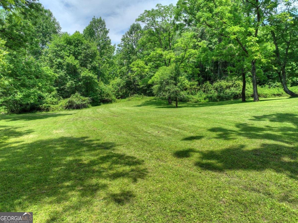 577 Macedonia Church Road Blue Ridge - 32