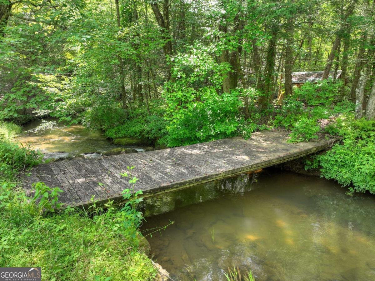 577 Macedonia Church Road Blue Ridge - 35
