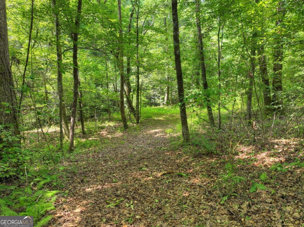 577 Macedonia Church Road Blue Ridge - 71