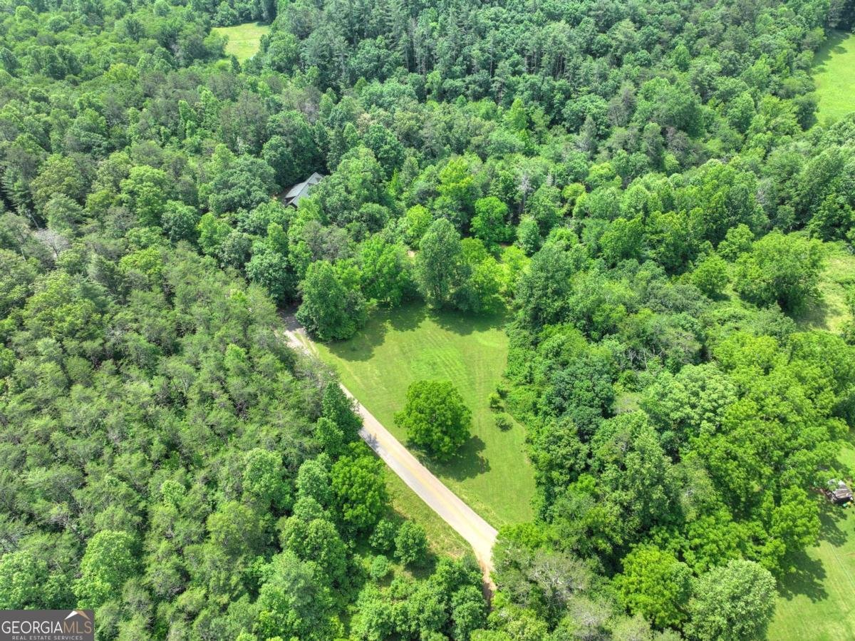 577 Macedonia Church Road Blue Ridge - 77