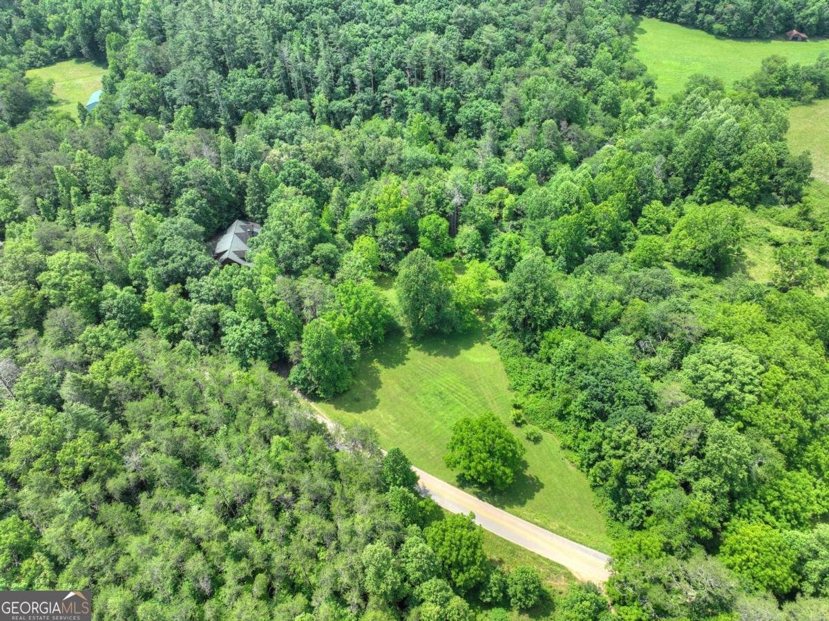 577 Macedonia Church Road Blue Ridge - 78