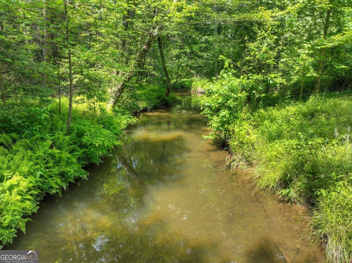 577 Macedonia Church Road Blue Ridge - 85
