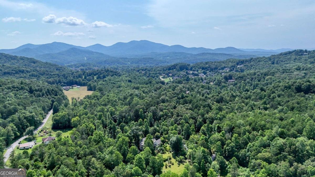771 Laurel Hill Road Young Harris - 23