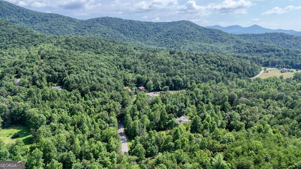 771 Laurel Hill Road Young Harris - 24
