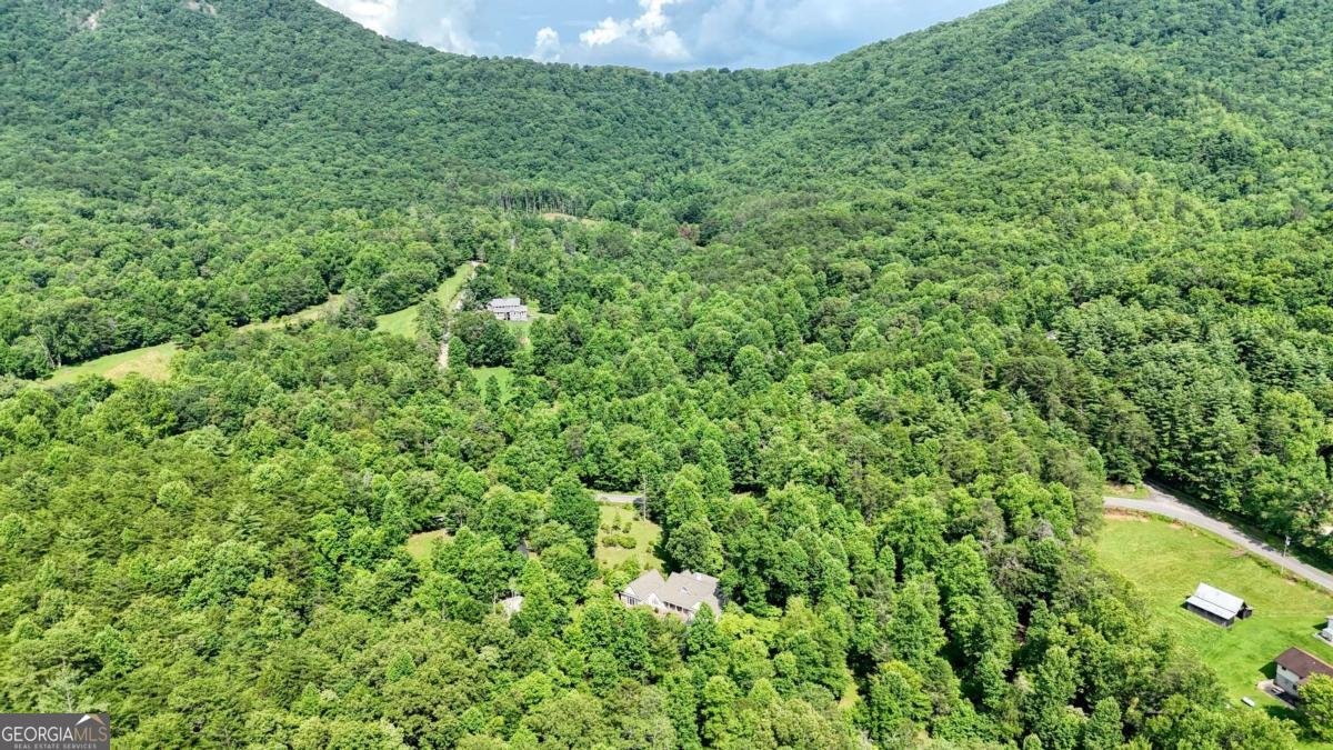 771 Laurel Hill Road Young Harris - 25