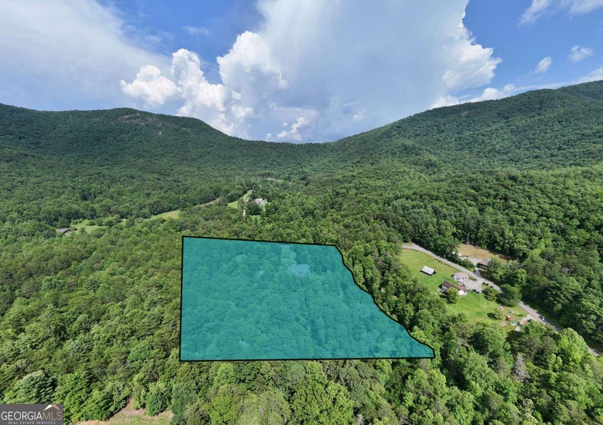 771 Laurel Hill Road Young Harris - 26