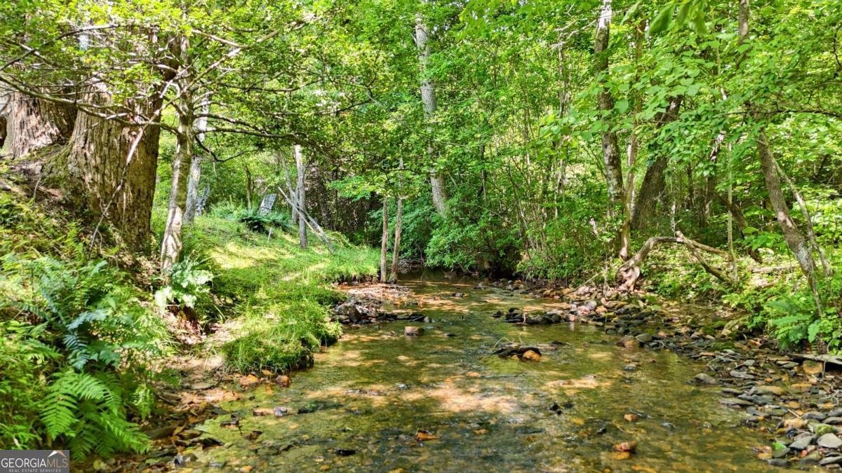 771 Laurel Hill Road Young Harris - 59
