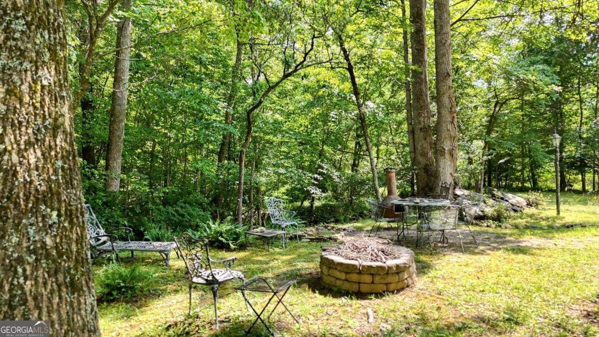 771 Laurel Hill Road Young Harris - 61