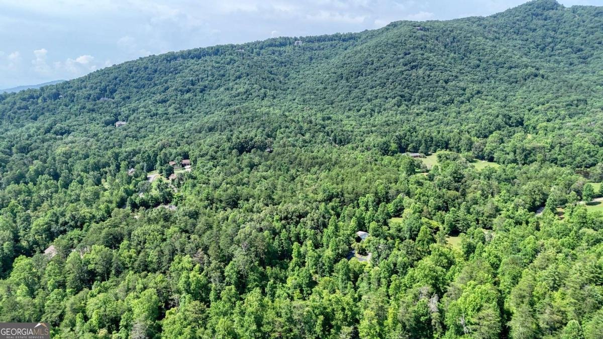 771 Laurel Hill Road Young Harris - 66