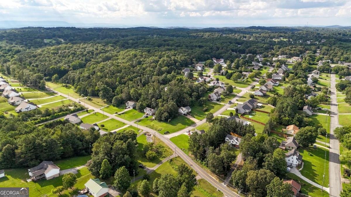 478 Dedmon Road Ringgold - 12