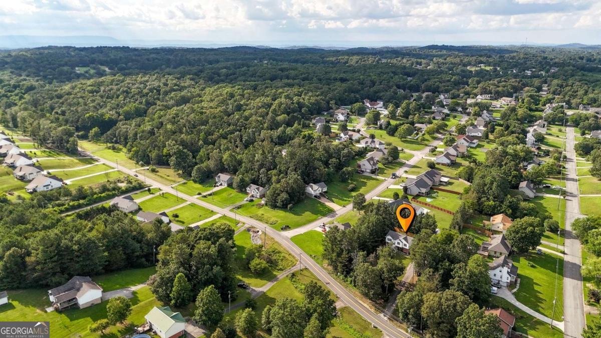 478 Dedmon Road Ringgold - 13