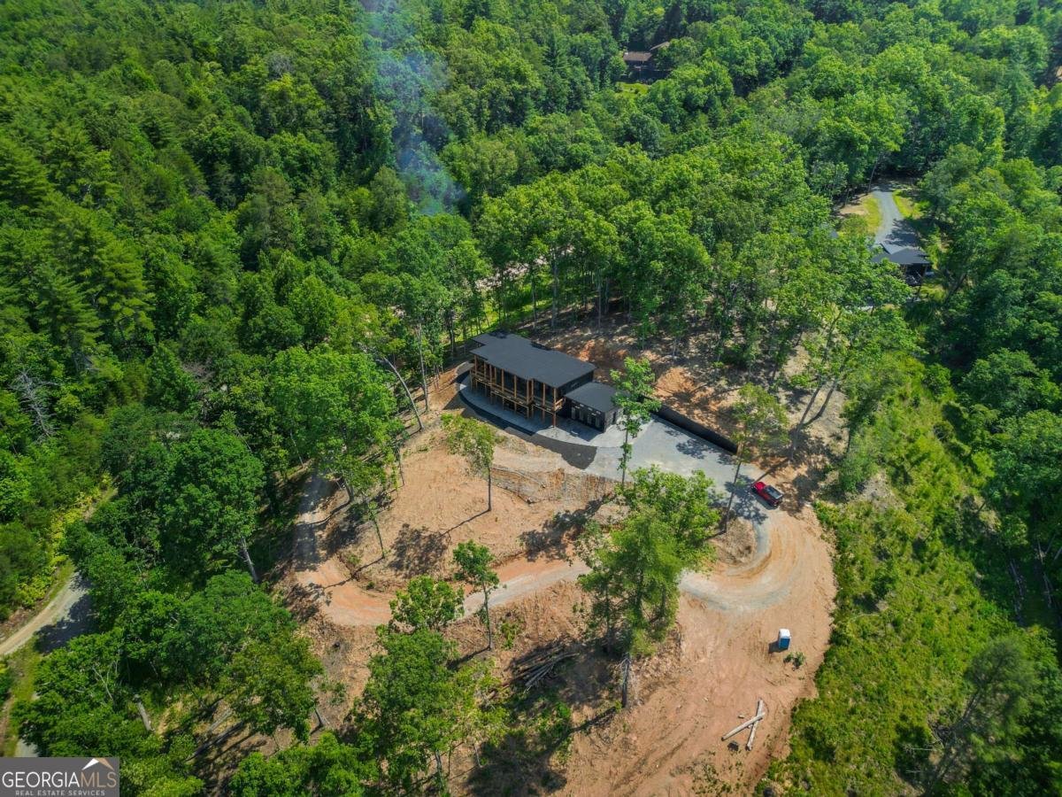 265 Park Glen Lane Mineral Bluff - 14