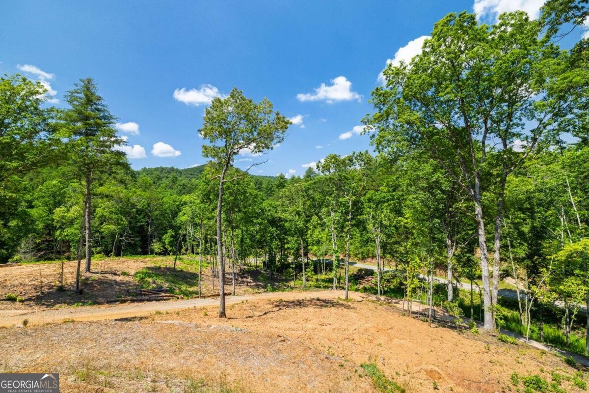 265 Park Glen Lane Mineral Bluff - 42