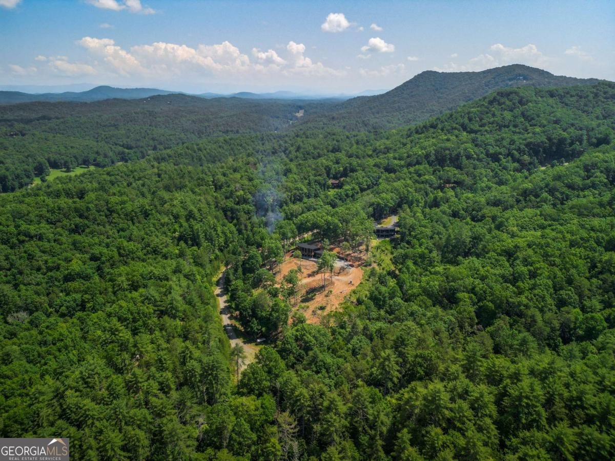 265 Park Glen Lane Mineral Bluff - 44