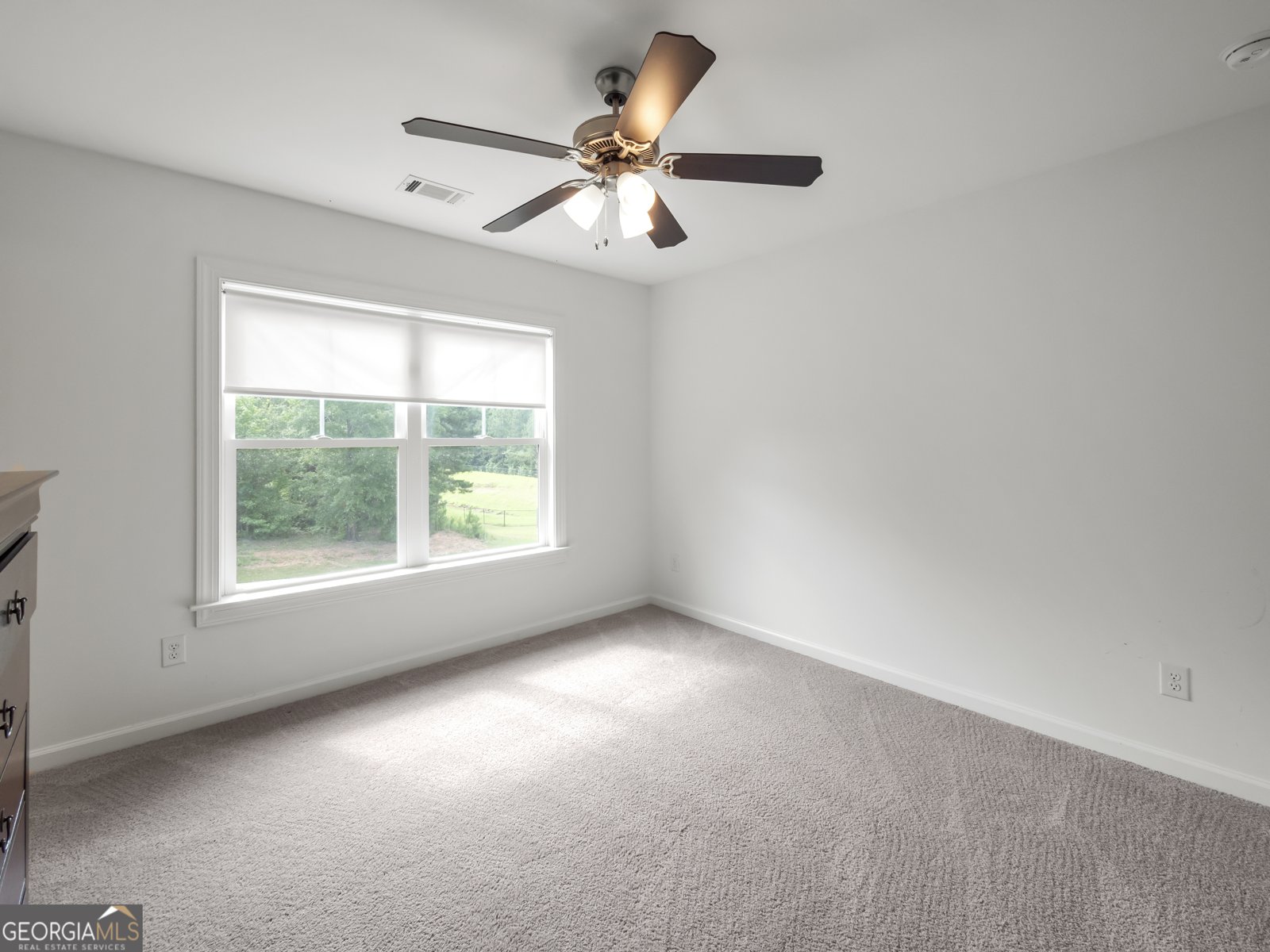 3100 Stonewood Field Road Watkinsville - 12