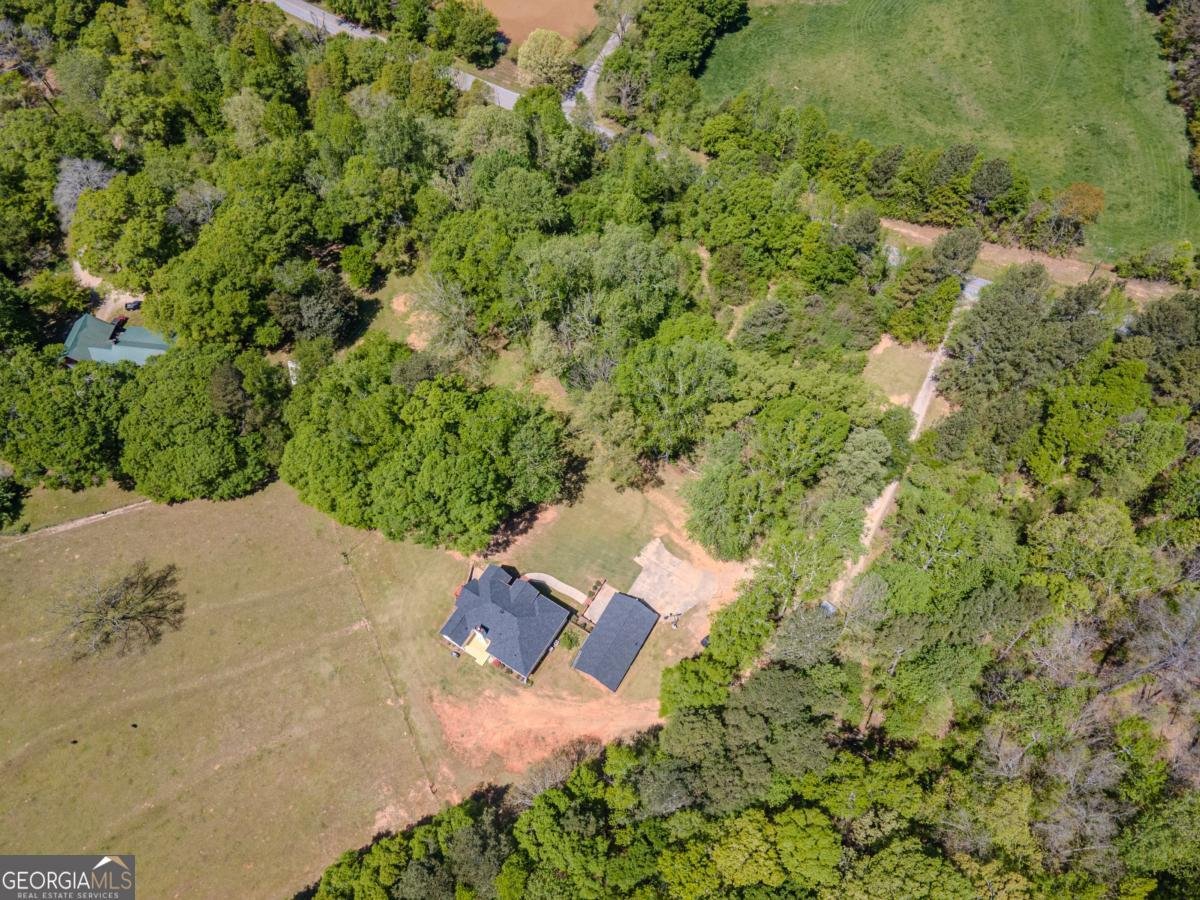 1238 Tapp Wood Road Hoschton - 18