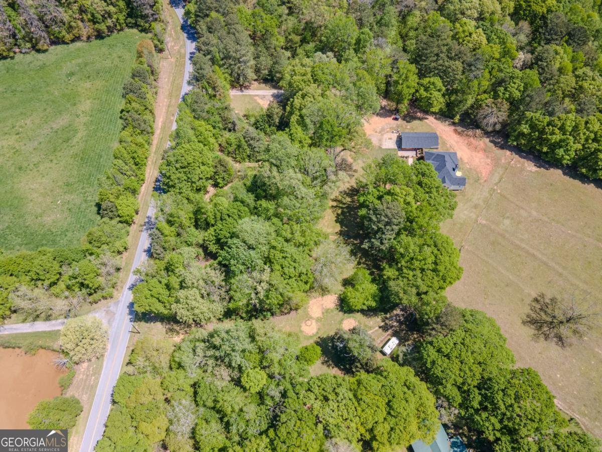 1238 Tapp Wood Road Hoschton - 19