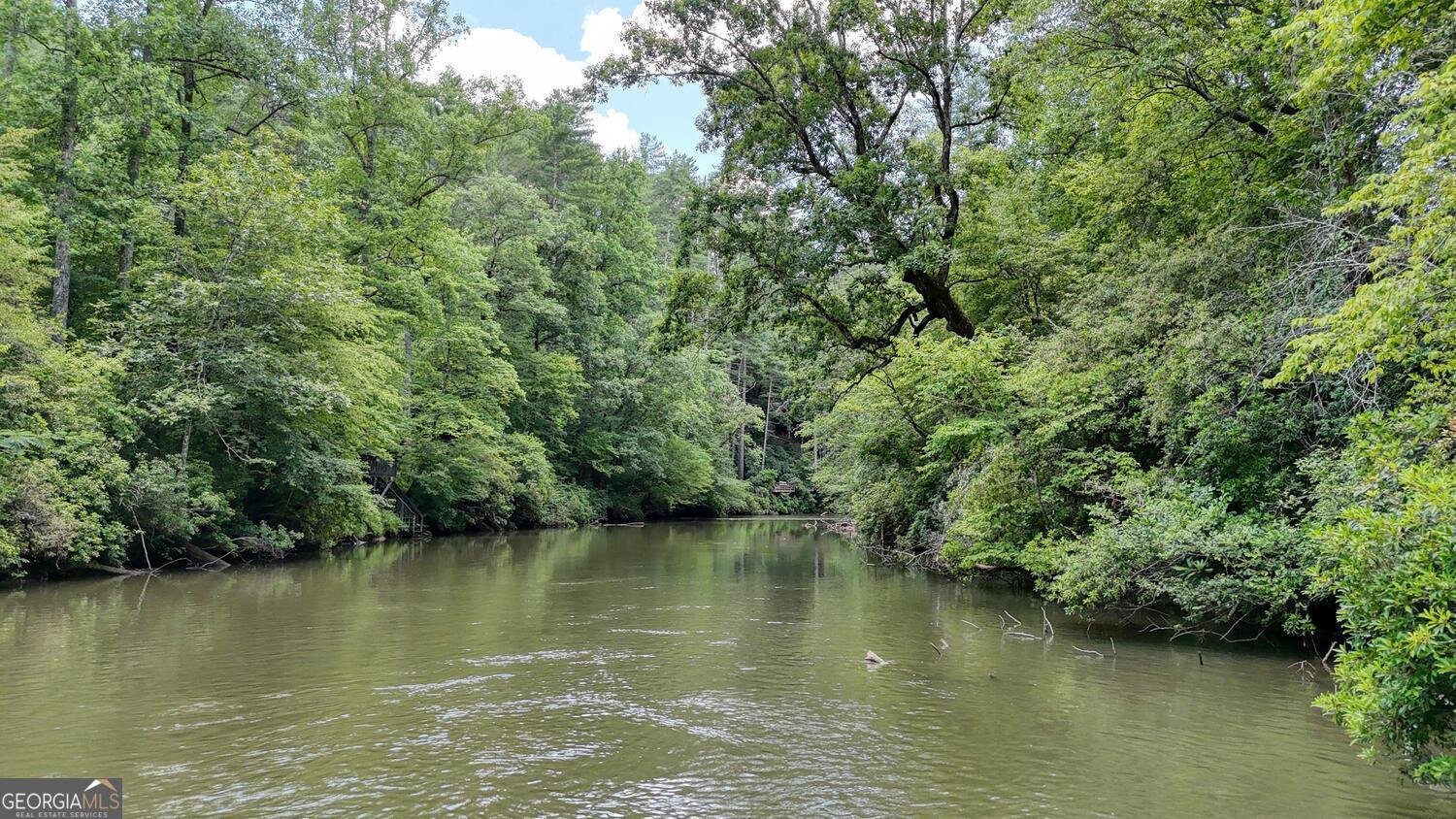 243 Chattahoochee Acres Cleveland - 54