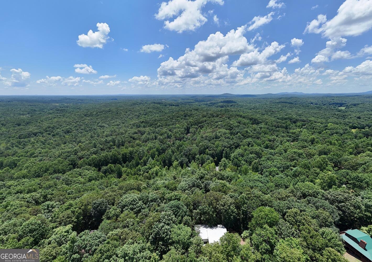 243 Chattahoochee Acres Cleveland - 60